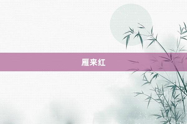 雁来红