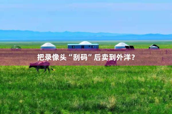 把录像头“刮码”后卖到外洋？
