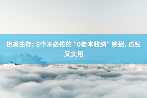极简生存: 8个不必钱的“0老本收纳”妙招, 省钱又实用