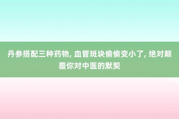 丹参搭配三种药物, 血管斑块偷偷变小了, 绝对颠覆你对中医的默契