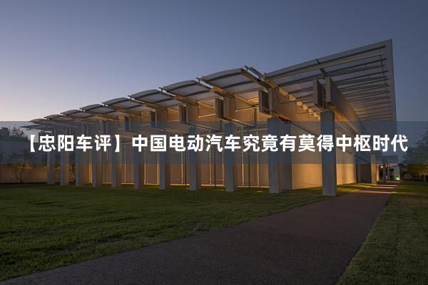 【忠阳车评】中国电动汽车究竟有莫得中枢时代